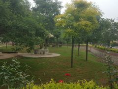 -石家庄市动物园