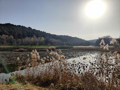 -沈阳森林动物园