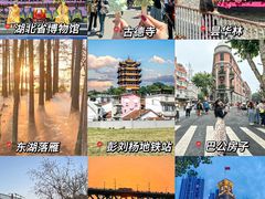 -武汉知音号