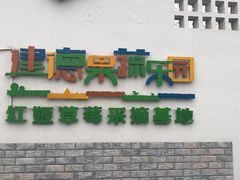 -建德果蔬乐园绪塘草莓基地