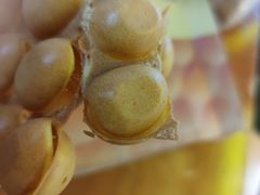 -天美汇鸡翅包饭(来福士广场店)