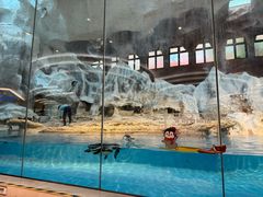 -帝企鹅自助餐厅•儿童岛•真企鹅(长隆企鹅酒店)