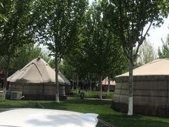 -九十九顶毡房(阜石路店)