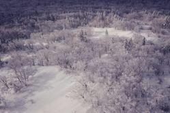 -大秃顶子山(雪谷店)