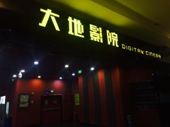 -大地影院(宁波培罗成店)