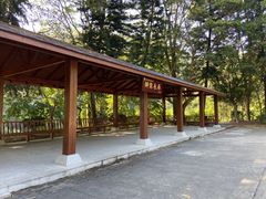 -东莞市大岭山森林公园