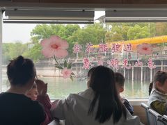 -天目湖山水园
