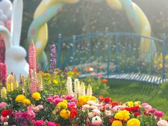 -上海共青森林公园