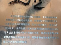 -中华恐龙园