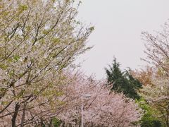 -白塘生态植物园