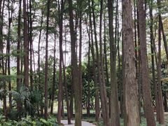 -月湖风景区