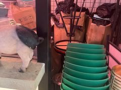 -小稻田辣椒炒肉(大浪商业中心店)