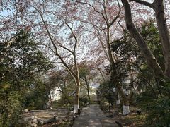 -鼓楼(西湖风景名胜区)