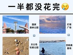 -巧克力渔家.小船海鲜胶东菜(万平口店)