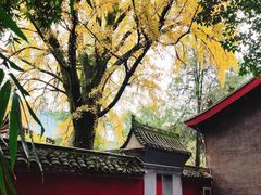 -小玲子(诸葛古镇店)