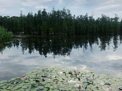 -白鹭湾湿地公园