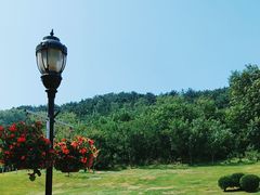 -棒棰岛宾馆景区