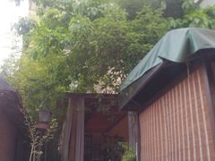 -先机泉水鸡汤(南山老君洞店)