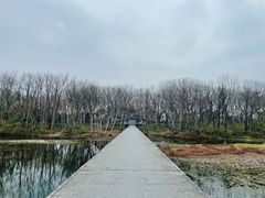-西溪南古村落景区