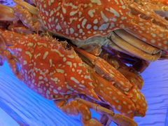 -广州花园酒店·凌璇阁旋转餐厅CAROUSEL360