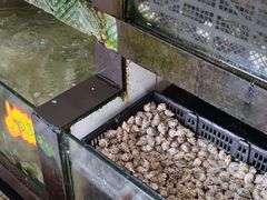 -马王堆海鲜水产市场