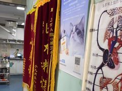 -A猫a狗全科·犬猫异宠·芥西宠物医院(南开总院)