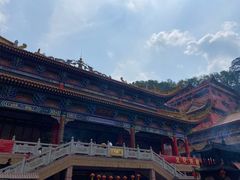 -东莞市大岭山森林公园