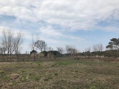 -嘉北郊野公园