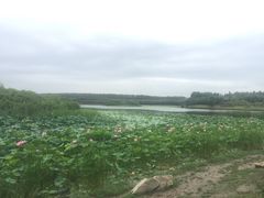-丁香湖公园