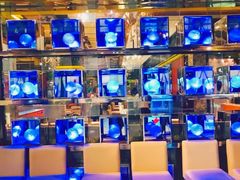 -YOYO悠游美食地图(西市城购物中心店)