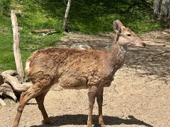 -北京野生动物园