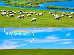 -呼伦湖旅游景区