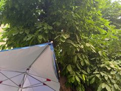 -熊面妈老面馆