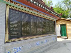 -大鹿岛