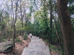 -紫金山索道-售票处