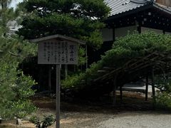 -豆政(金閣寺境内売店)