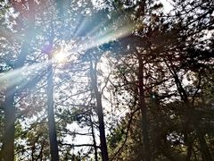 -高尔山公园