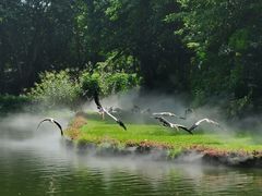 -广州长隆飞鸟乐园
