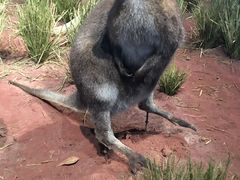 -陕西自然博物馆