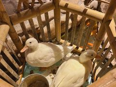 -馬蘭花開(车站大道店)