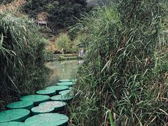 -靖西鹅泉风景区