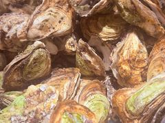 -禾斗海鲜自助(市南银座店)