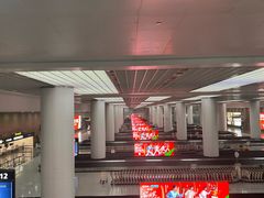 -青岛胶东国际机场