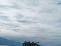 -野菌皇海景野生菌火锅(滨海大道店)