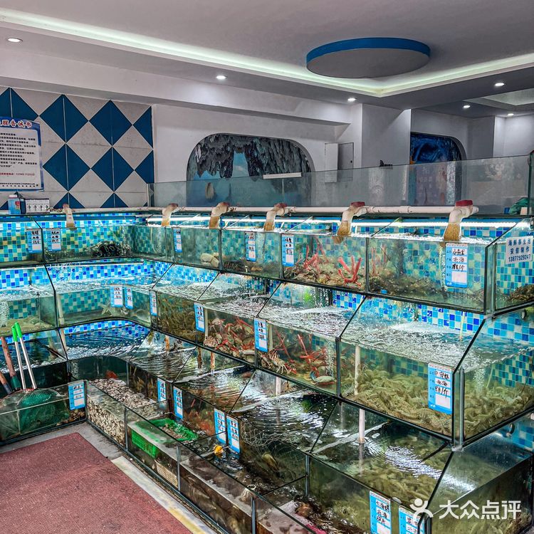 北海这家店让我实现了海鲜自由！！平价好吃