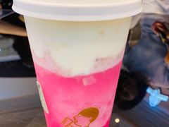 多肉粉荔-喜茶(深圳福田星河COCO Park店)