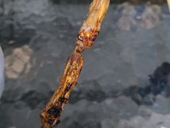 -啊溜烧烤·炭火传承(南澳店)