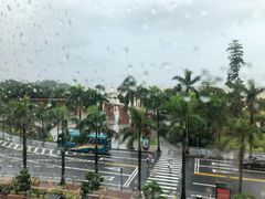 -五月花海鲜城