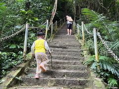 -七仙岭温泉国家森林公园