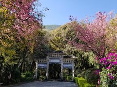 -蝴蝶泉公园